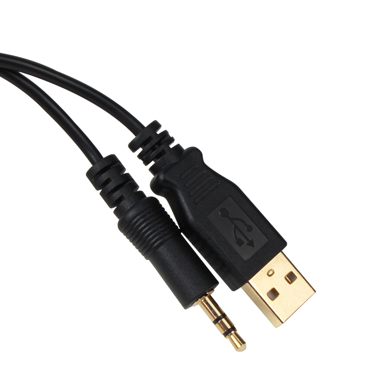 HDMI/AM TO VGA/M Cable CG598A