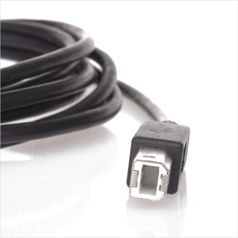 USB A to USB B Cable CU201B