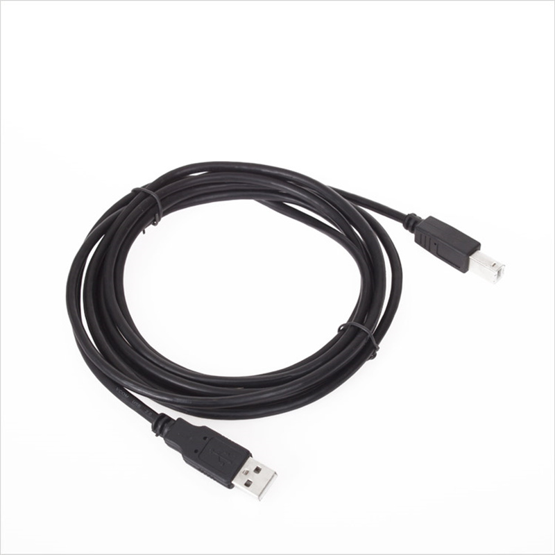 USB A to USB B Cable CU201B